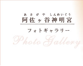 平日限定プラン9万9,800円