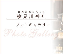 フォトギャラリー